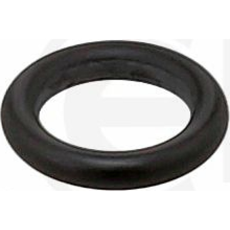 Dichtring 575.950 Dichtring 575.950