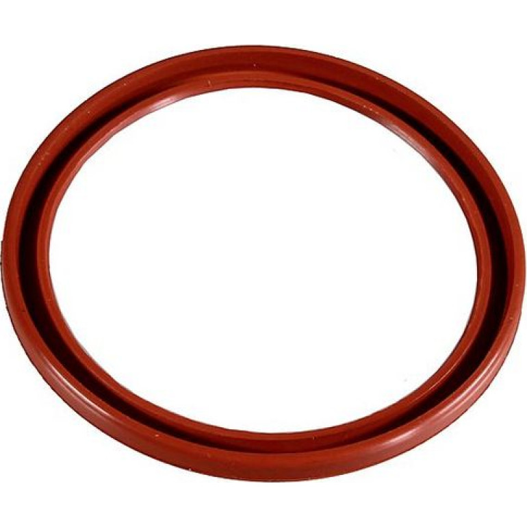 Dichtring 2430092