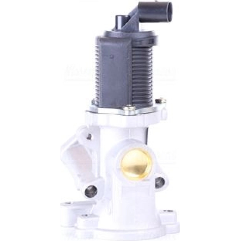 AGR-Ventil 98175