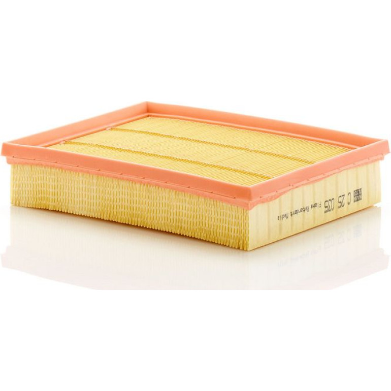 MANN-FILTER C 25 035 Luftfilter
