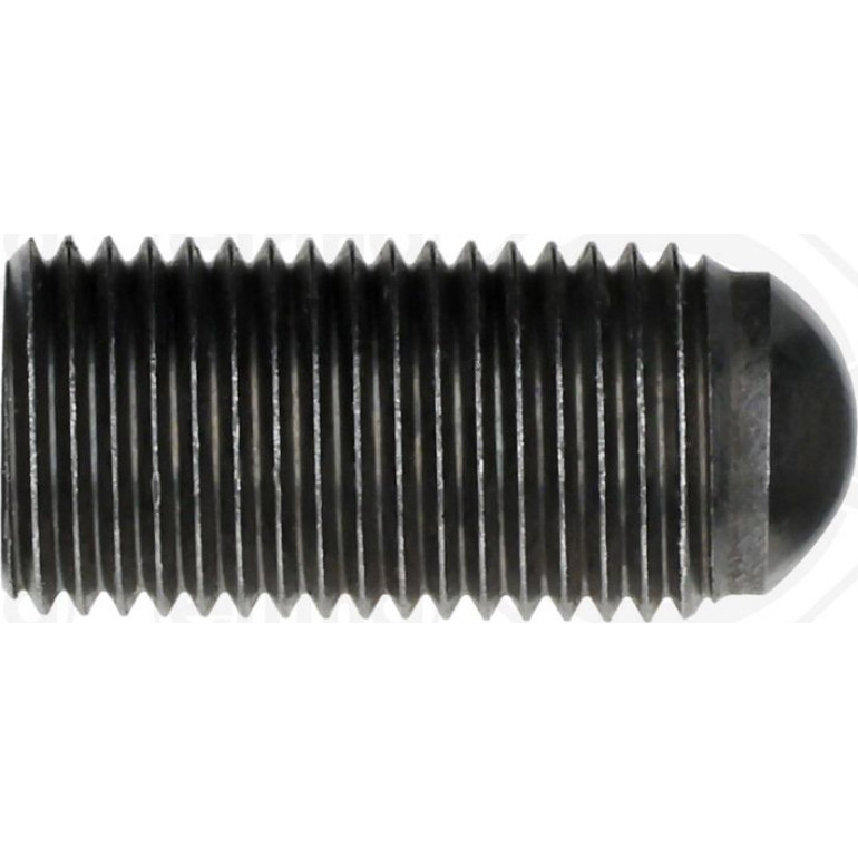 Schraube 736.660