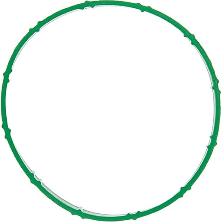 Dichtung A2C59516955 Dichtung A2C59516955