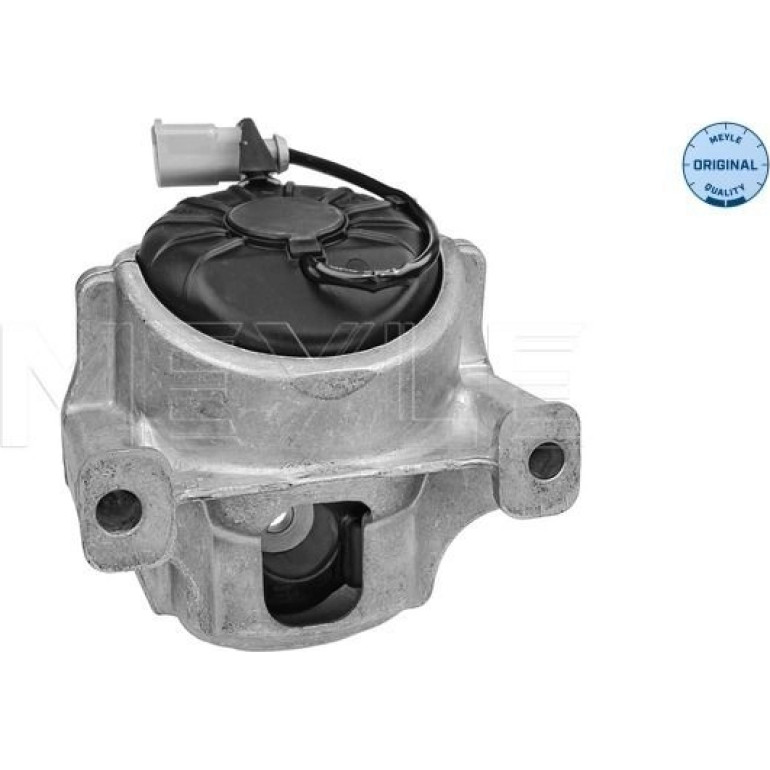 Lagerung, Motor 100 199 1009