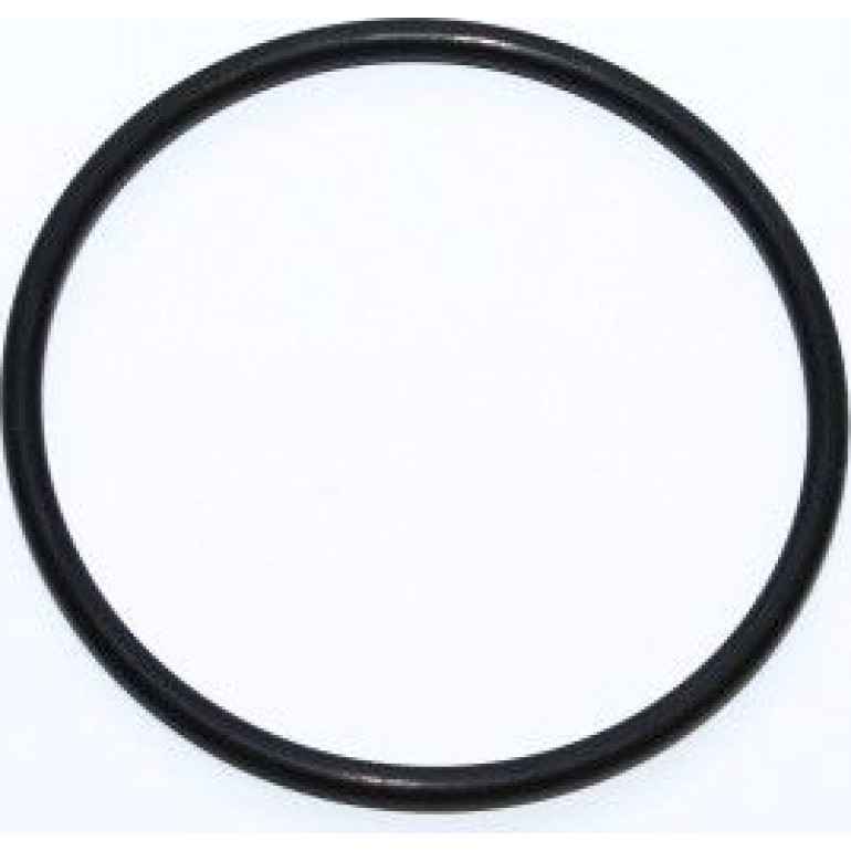 Dichtring 312.207 Dichtring 312.207