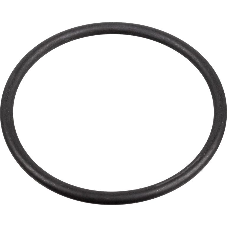 FEBI BILSTEIN 172666 Dichtung, Kraftstoffpumpe FEBI BILSTEIN 172666 Dichtung, Kraftstoffpumpe