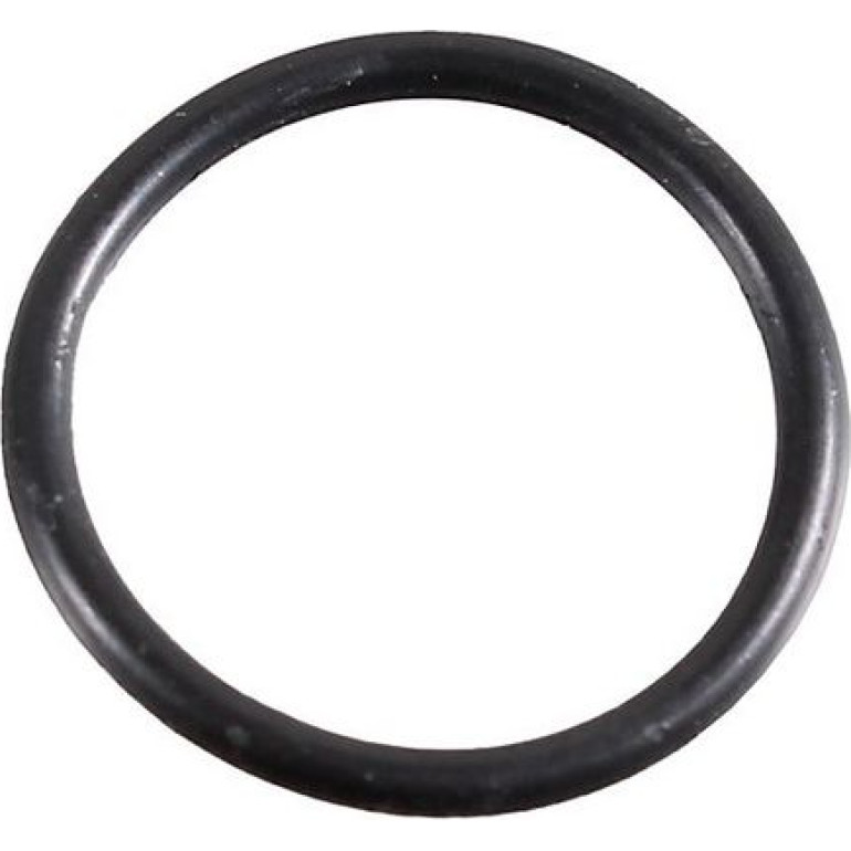 Dichtring 2430053 Dichtring 2430053