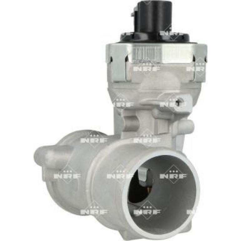 AGR-Ventil 48667 AGR-Ventil 48667