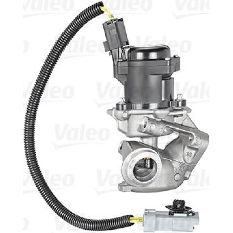 AGR-Ventil 700412 AGR-Ventil 700412