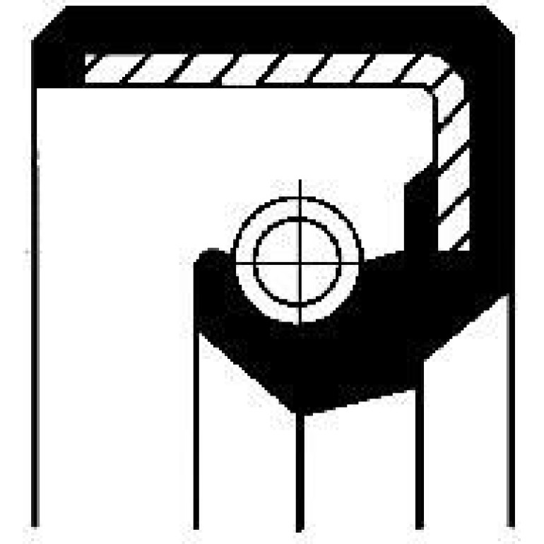 Dichtring 12011482B