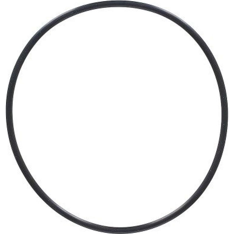 Dichtring 794.570 Dichtring 794.570