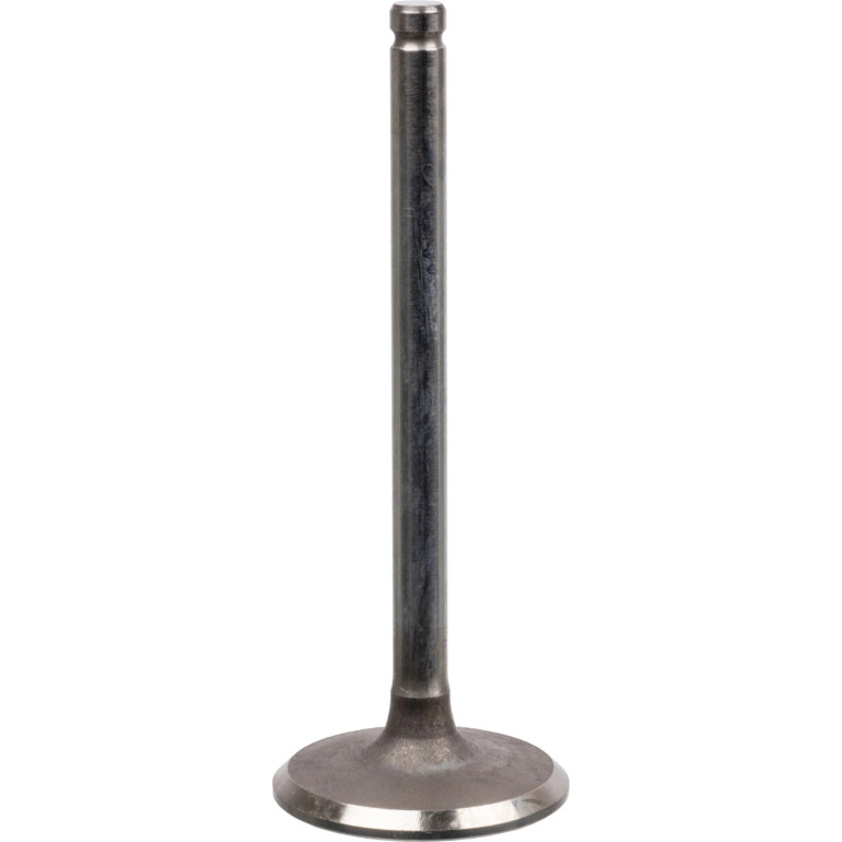 FEBI BILSTEIN 17392 Einlassventil