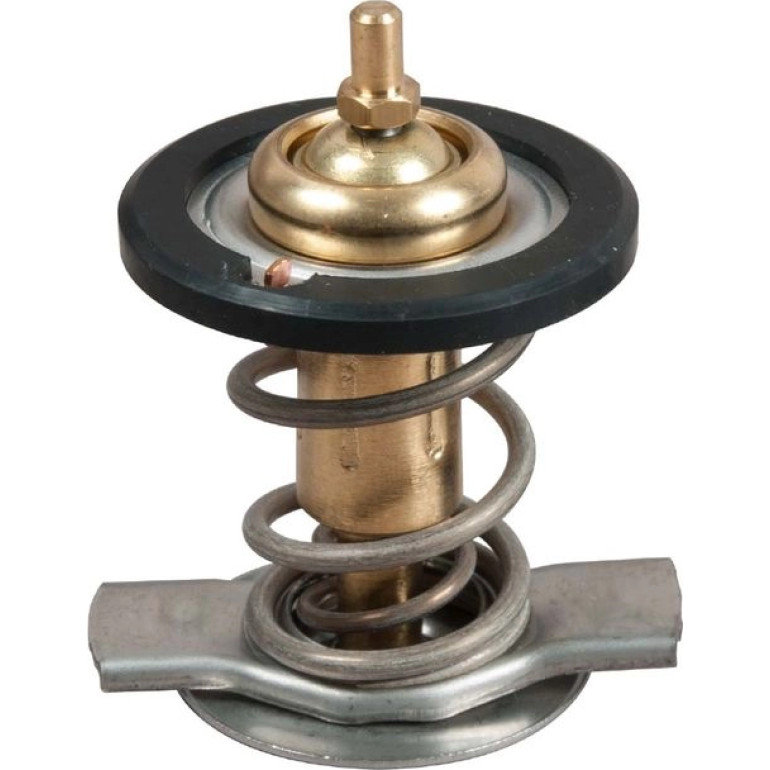 Thermostat, Kühlmittel TH50392G1