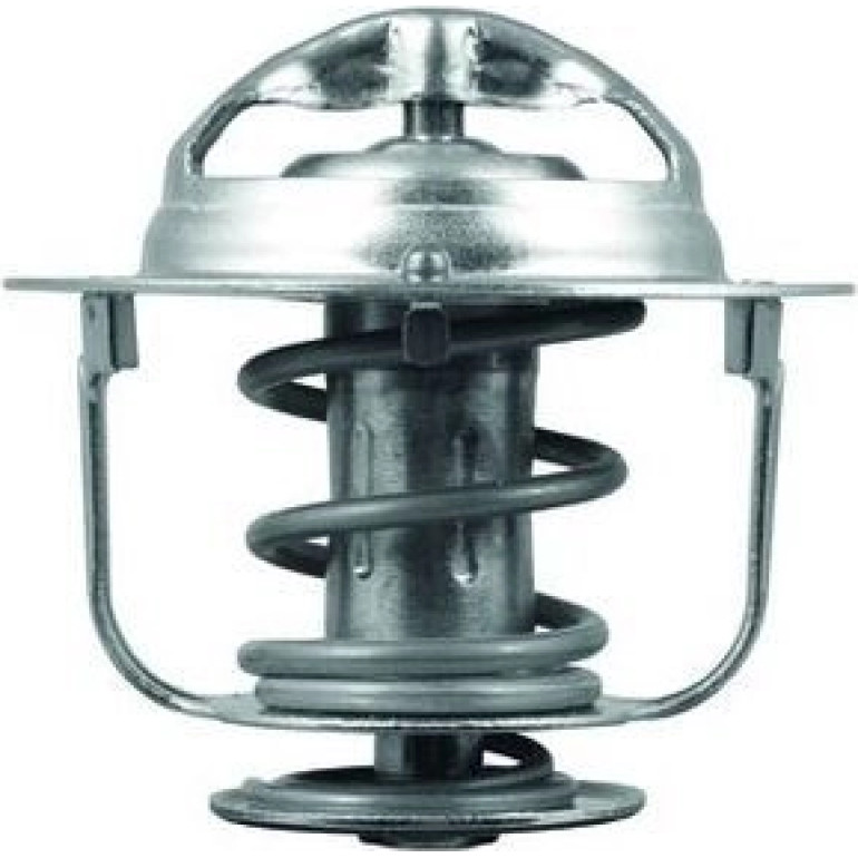 Thermostat, Kühlmittel TX 176 82D