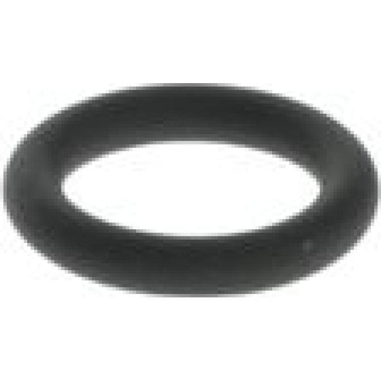 Dichtring F 00R J00 529 Dichtring F 00R J00 529