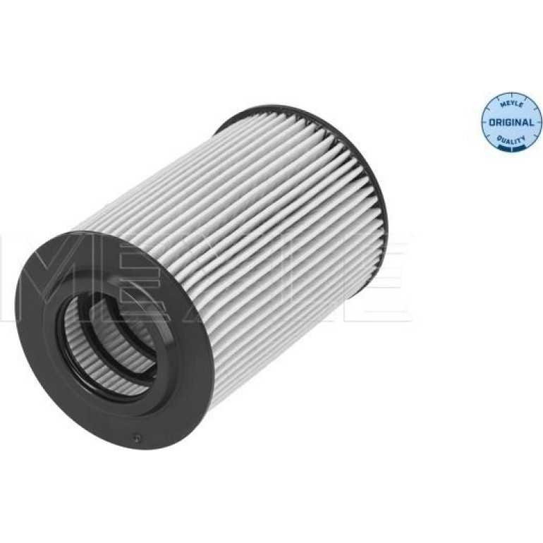 Ölfilter 100 322 0019