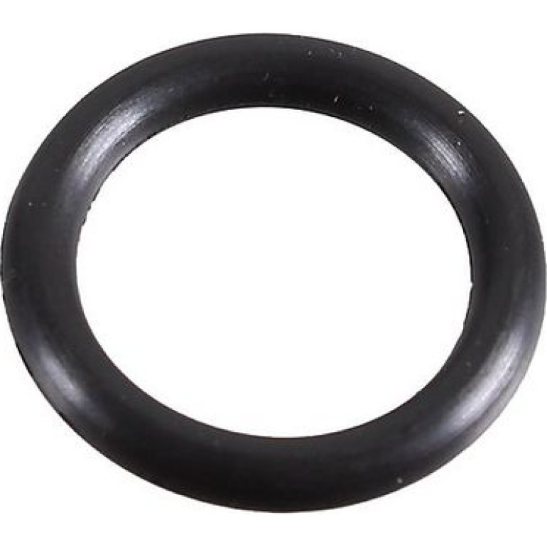 Dichtring 2430099 Dichtring 2430099