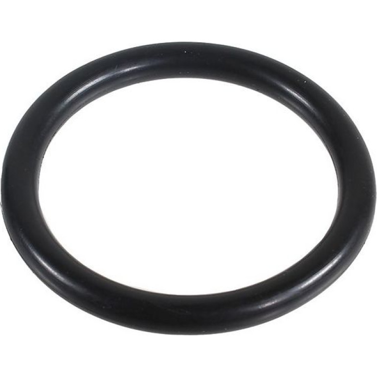 Dichtring 2430002