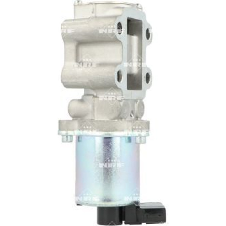 AGR-Ventil 48655 AGR-Ventil 48655