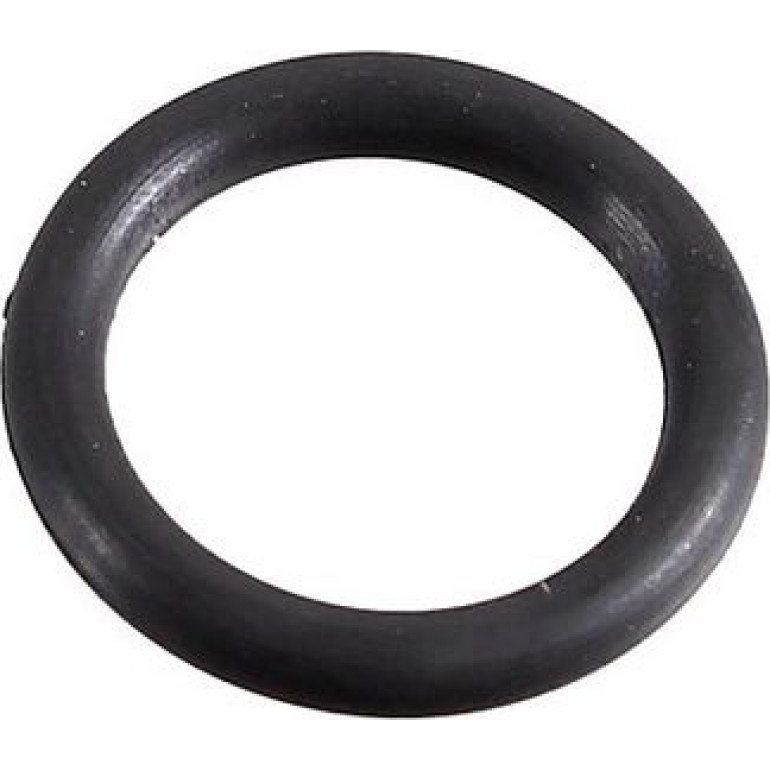 Dichtring 2430124 Dichtring 2430124