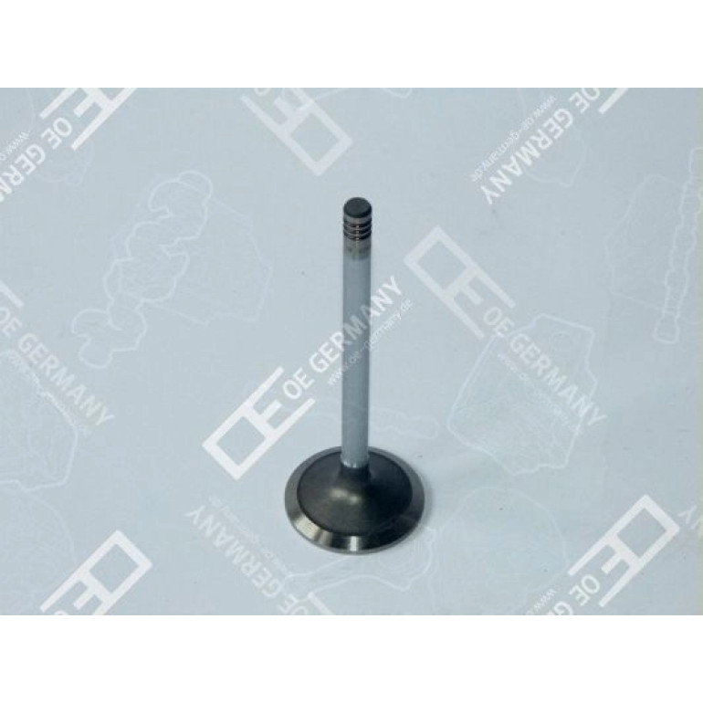 6x Einlassventil Einlassseite für Deutz BFM 1013 C/E/EC/ECP D 5 A TD 520 GE TAD 6x Einlassventil Einlassseite für Deutz BFM 1013 C/E/EC/ECP D 5 A TD 520 GE TAD