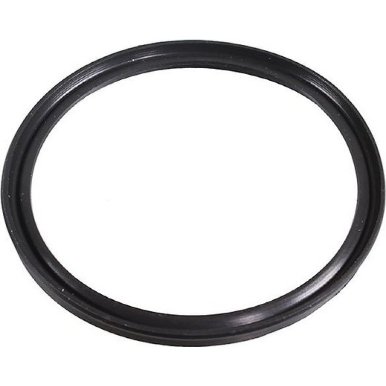 Dichtring 2430088