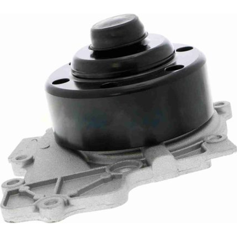 Wasserpumpe V30-50018