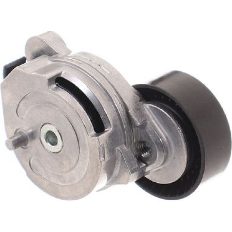 Spannrolle, Keilrippenriemen VKM 36244