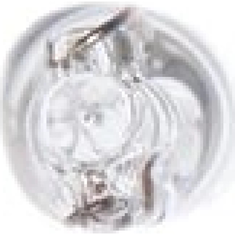 Glühlampe 1 987 302 218 Glühlampe 1 987 302 218
