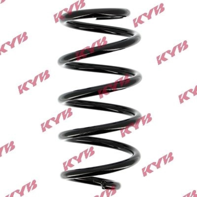 Fahrwerksfeder RG6455 Fahrwerksfeder RG6455