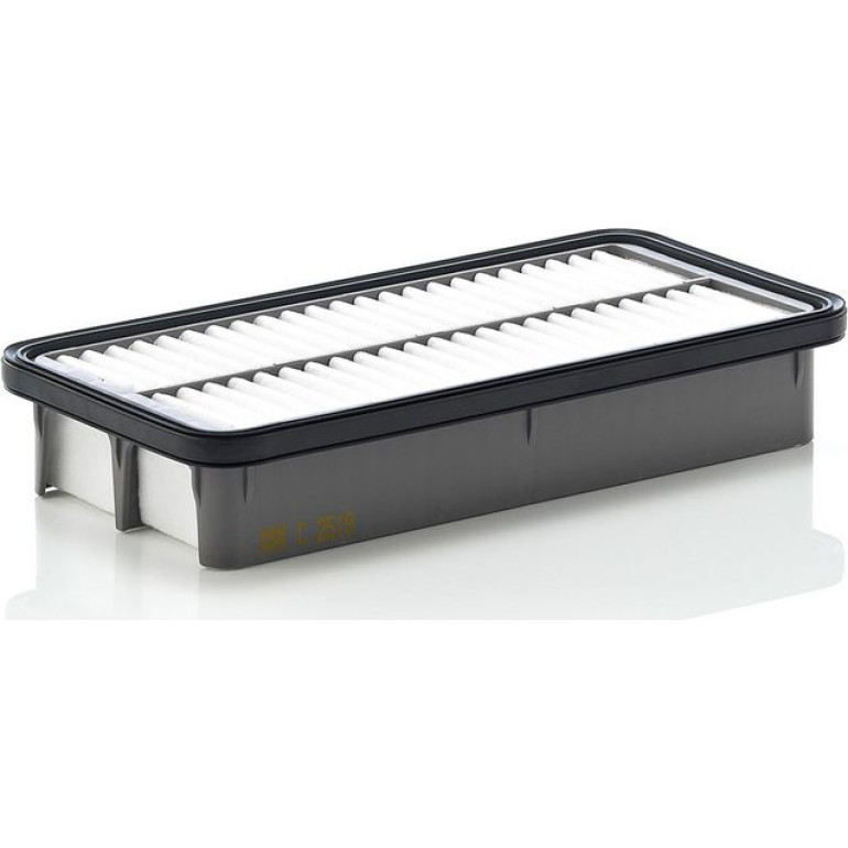 MANN-FILTER C 2519 Luftfilter MANN-FILTER C 2519 Luftfilter