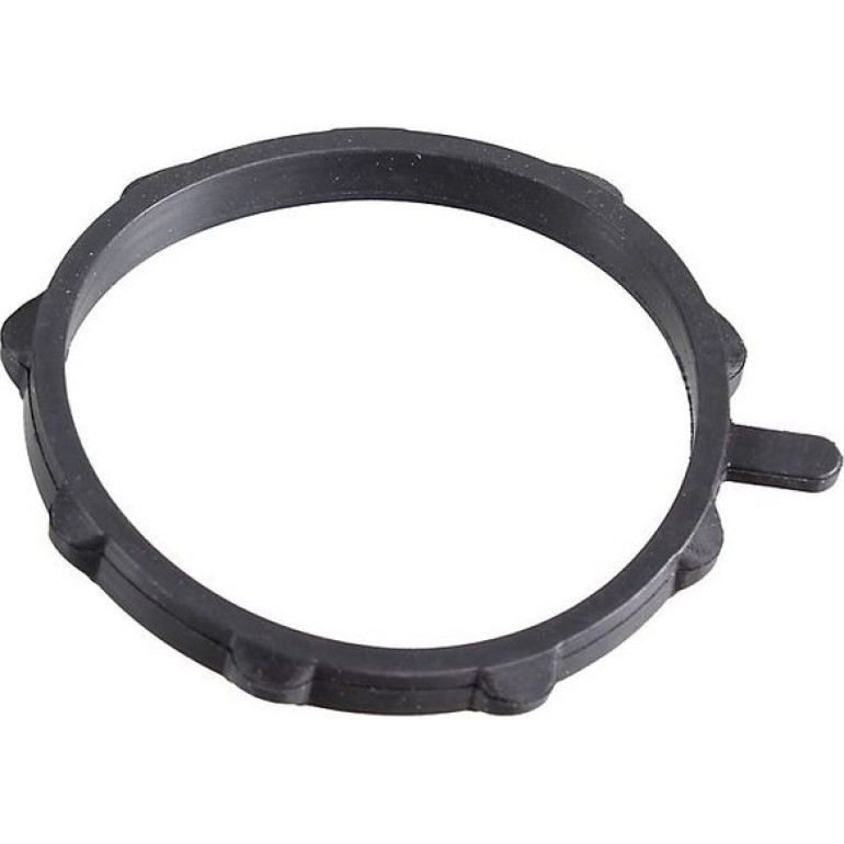 Dichtring 2430098 Dichtring 2430098