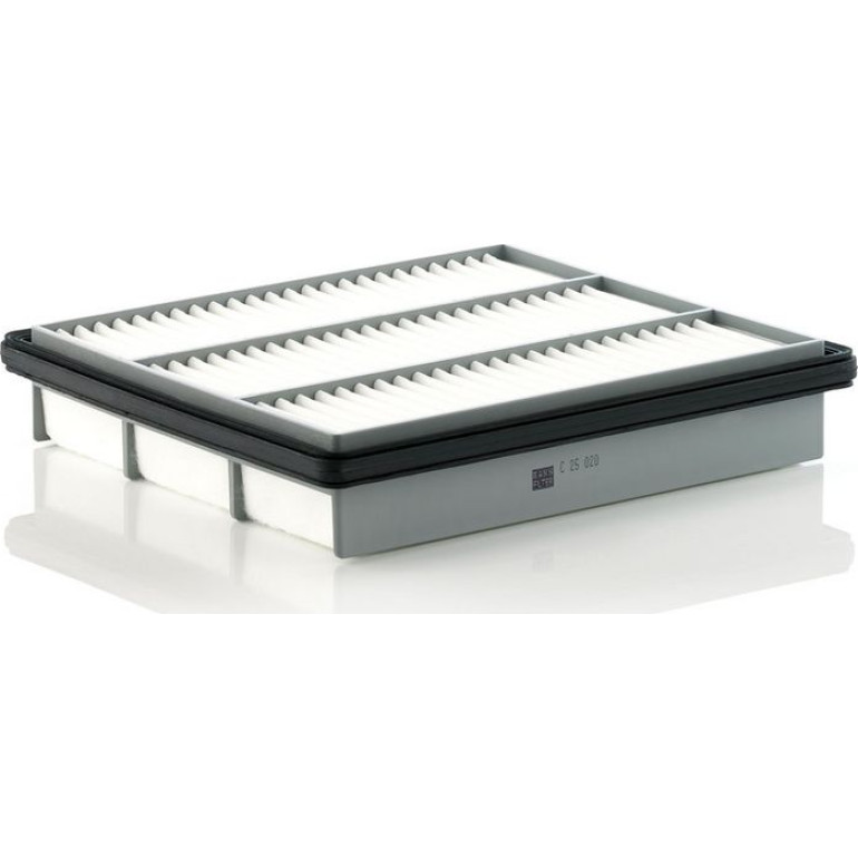 MANN-FILTER C 25 020 Luftfilter