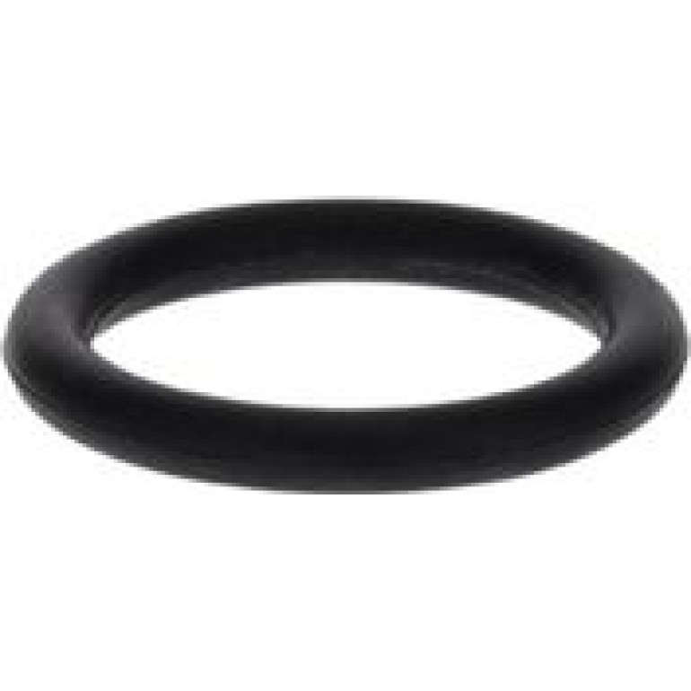 Dichtring 1 900 210 013