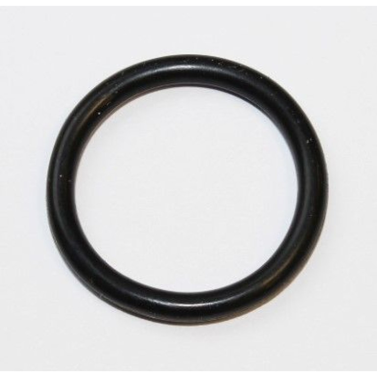 Dichtring 255.550 Dichtring 255.550