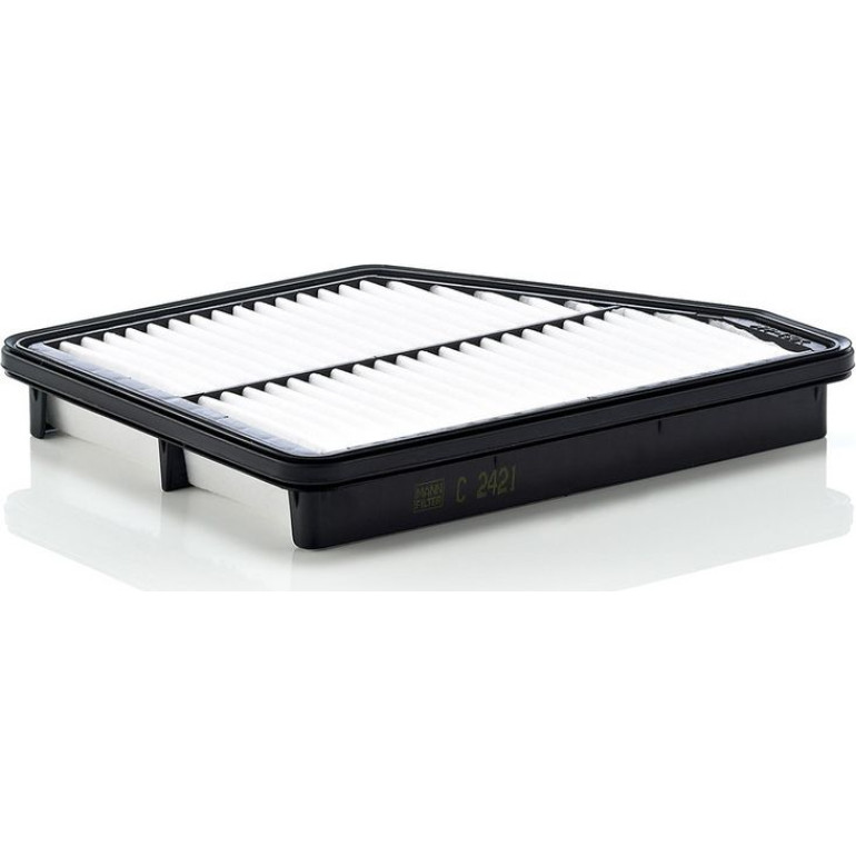 Luftfilter C 2421