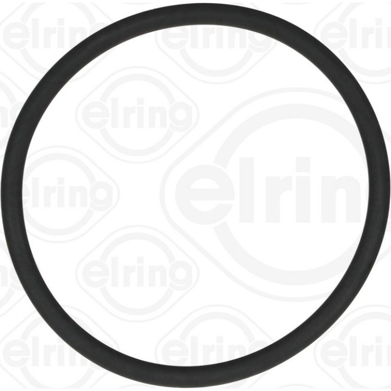 Dichtring 789.970 Dichtring 789.970