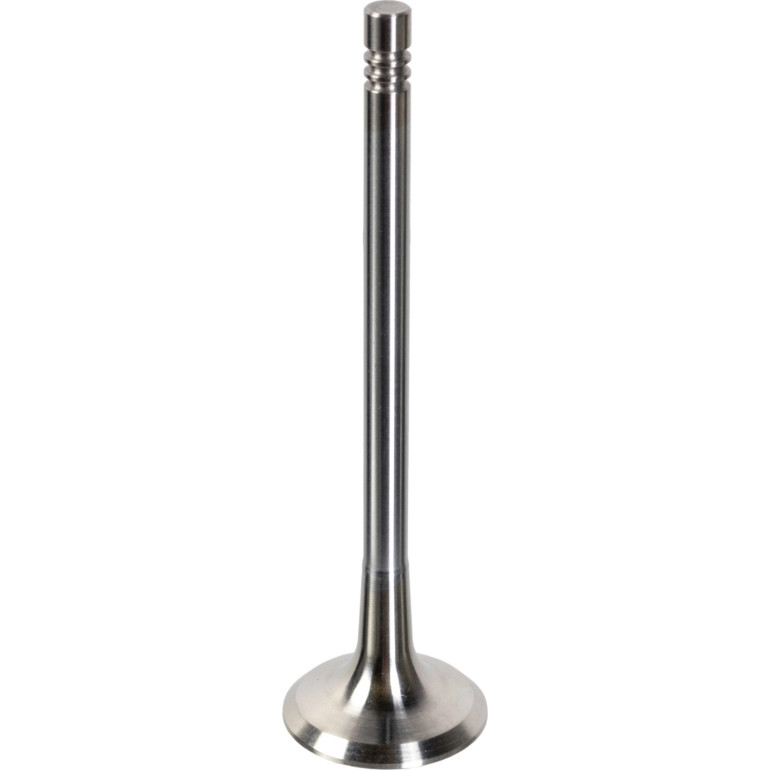 FEBI BILSTEIN 181648 Auslassventil FEBI BILSTEIN 181648 Auslassventil