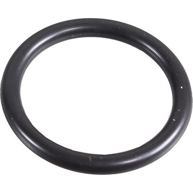 Dichtring 2430045 Dichtring 2430045