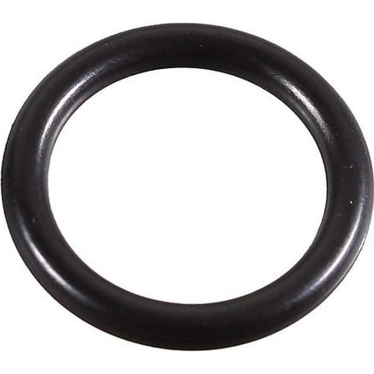Dichtring 2430105 Dichtring 2430105
