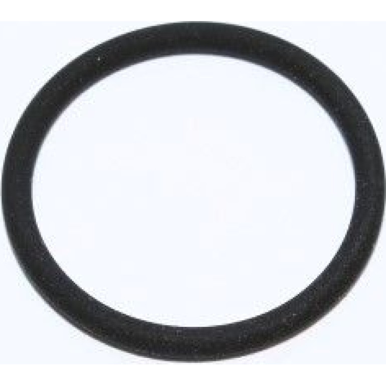 Dichtring 219.950