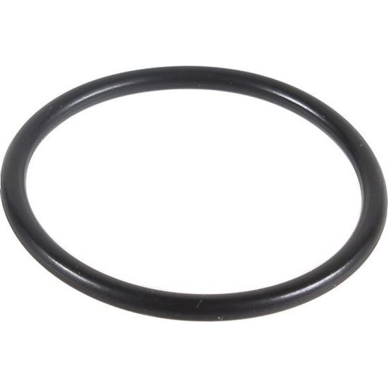 Dichtring 2430015 Dichtring 2430015