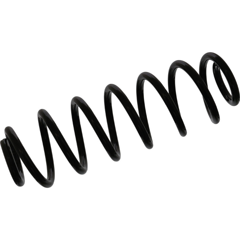FEBI BILSTEIN 46924 Fahrwerksfeder für VW EOS, TOURAN Hinterachse
