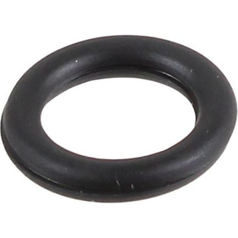Dichtring 2430013 Dichtring 2430013