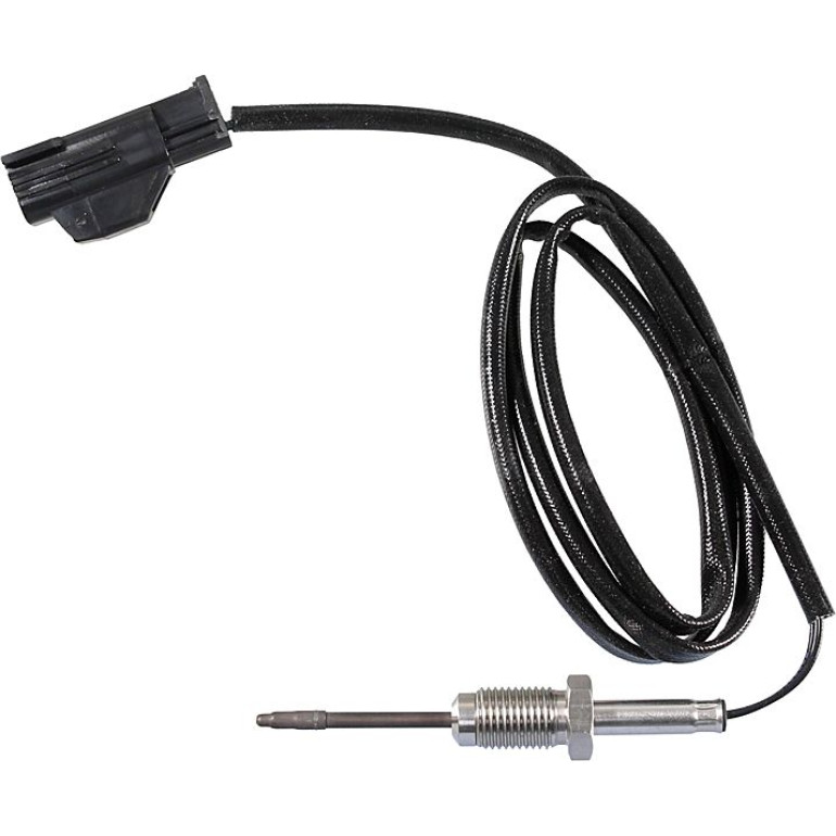 Sensor, Abgastemperatur 08941019