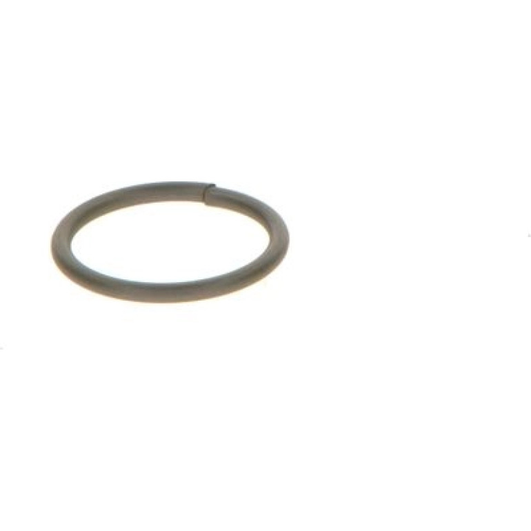 Dichtring F 00V C23 002
