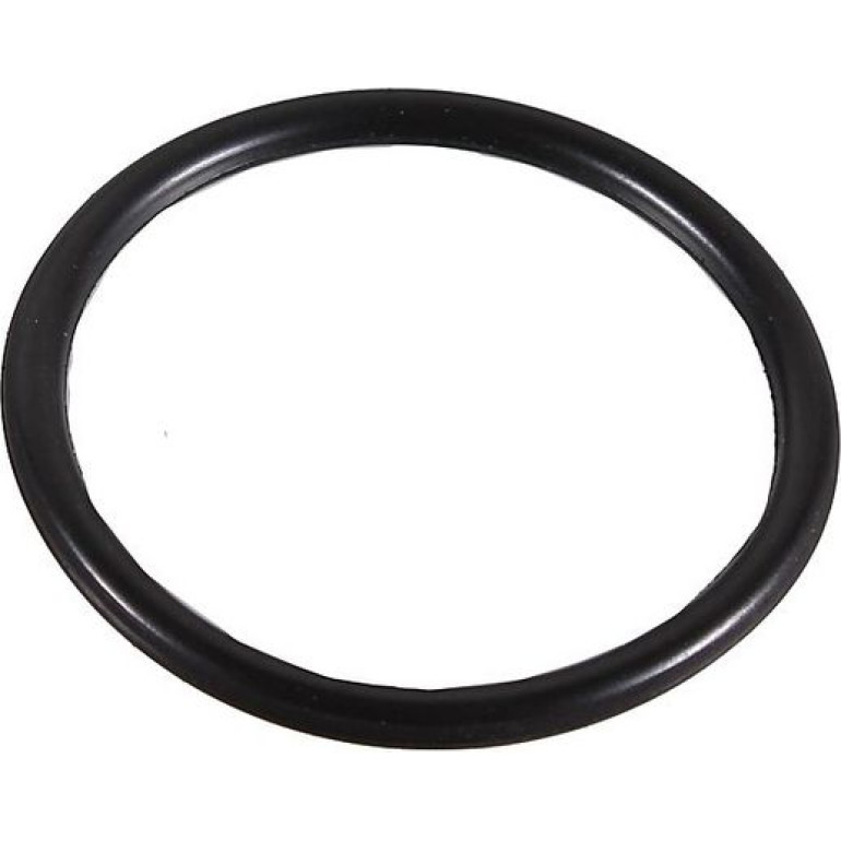 Dichtring 2430009 Dichtring 2430009