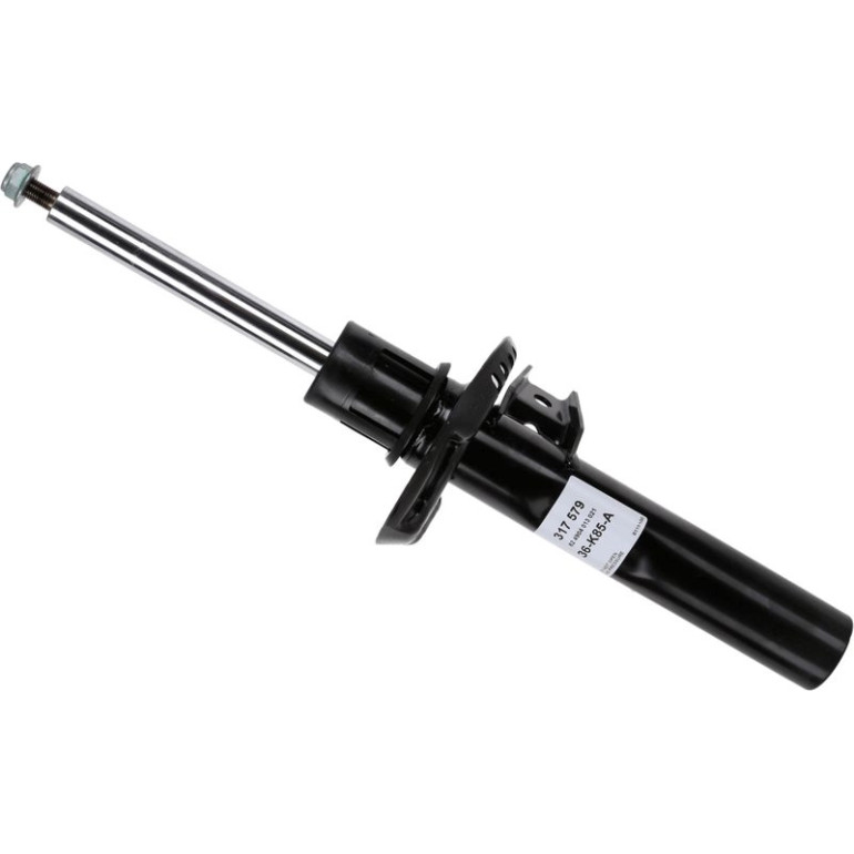 Stoßdämpfer 317 579