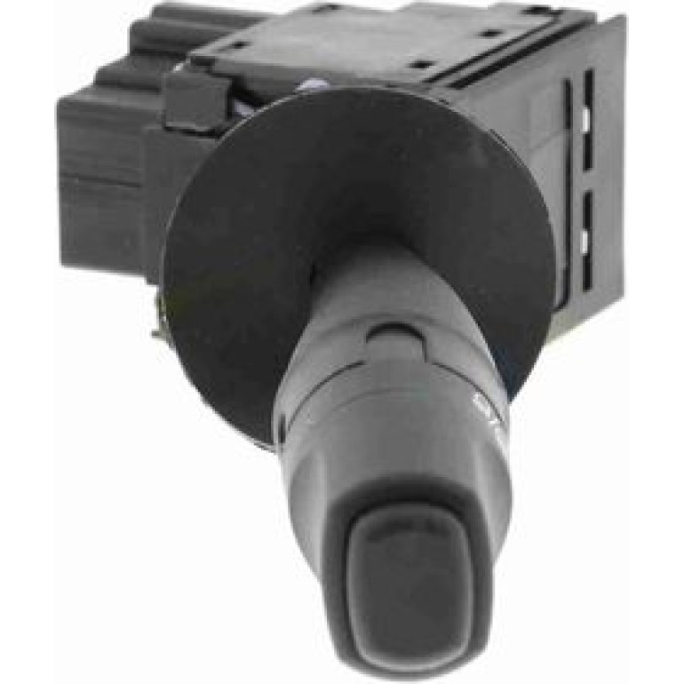 Schalter, Hauptlicht V22-80-0003