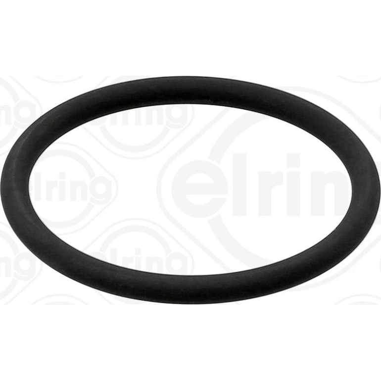 Dichtring 573.290 Dichtring 573.290