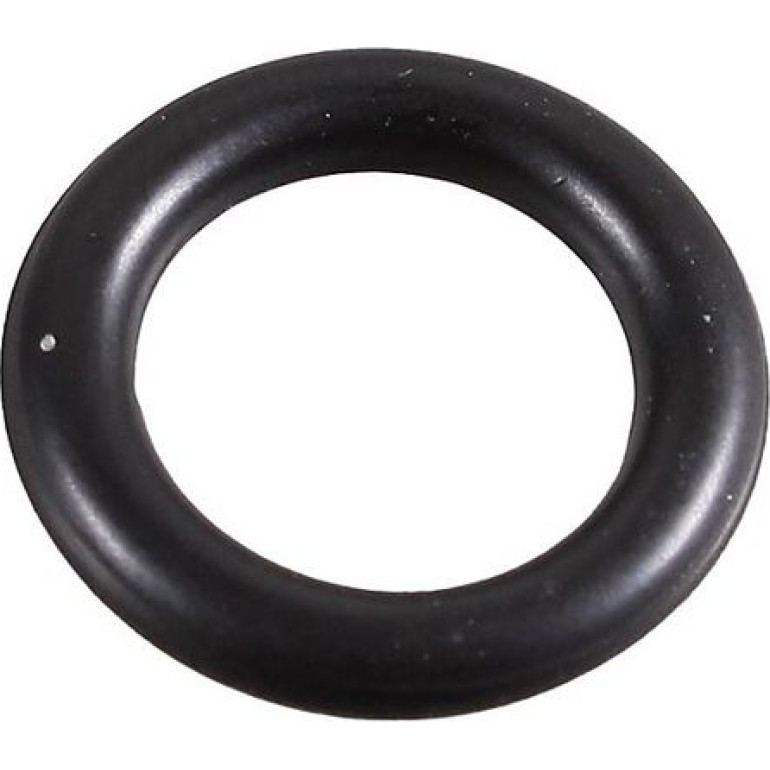 Dichtring 2430061 Dichtring 2430061